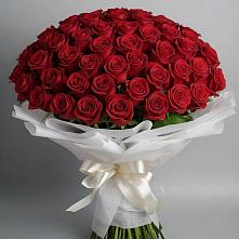 Букет 101 Красная роза Блэк Мэджик #REPLACE_PRED# Гвардейском