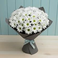 Букет цветов из:  Хризантемы в Гвардейском