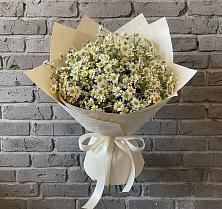 Букет цветов из:  Ромашки в Гвардейском