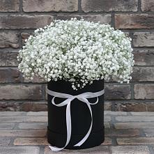 Цветочная композиция из Гипсофила в шляпной коробке #REPLACE_PRED# Гвардейском