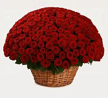 Премиум букет из: Розы в Гвардейском