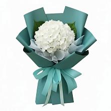 Букет цветов из:  Гортензия #REPLACE_PRED# Гвардейском